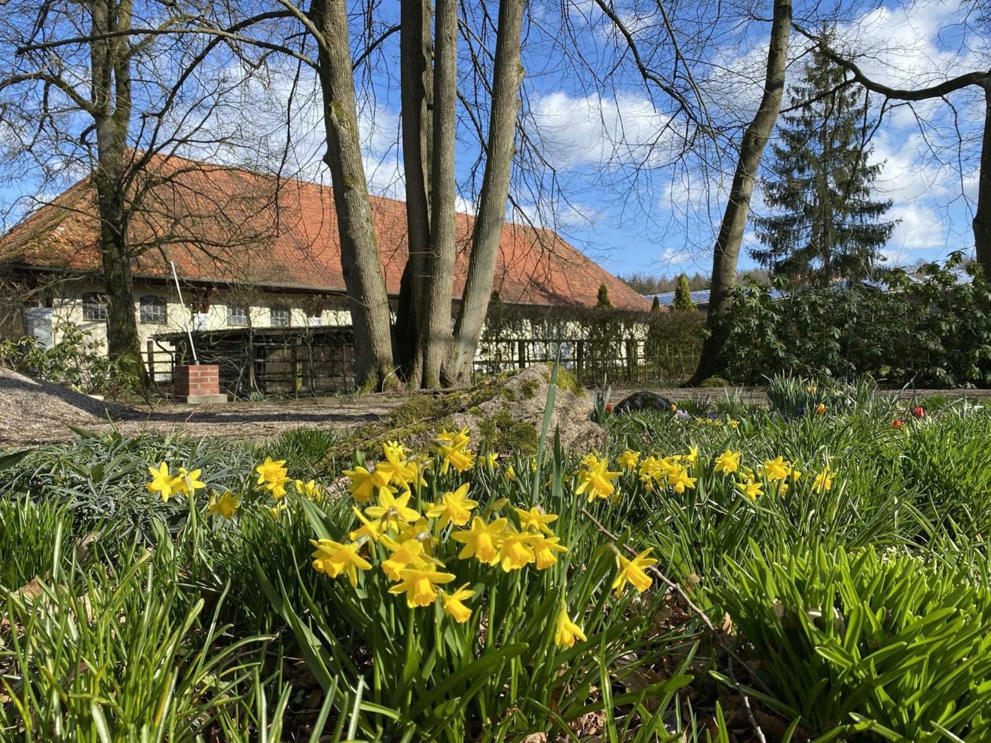 Cozy Holiday Home On A Horse Farm In The L Neburg Heath Eschede エクステリア 写真