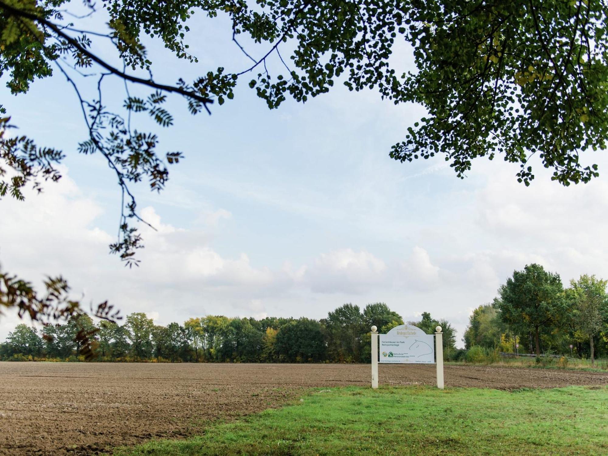 Cozy Holiday Home On A Horse Farm In The L Neburg Heath Eschede エクステリア 写真