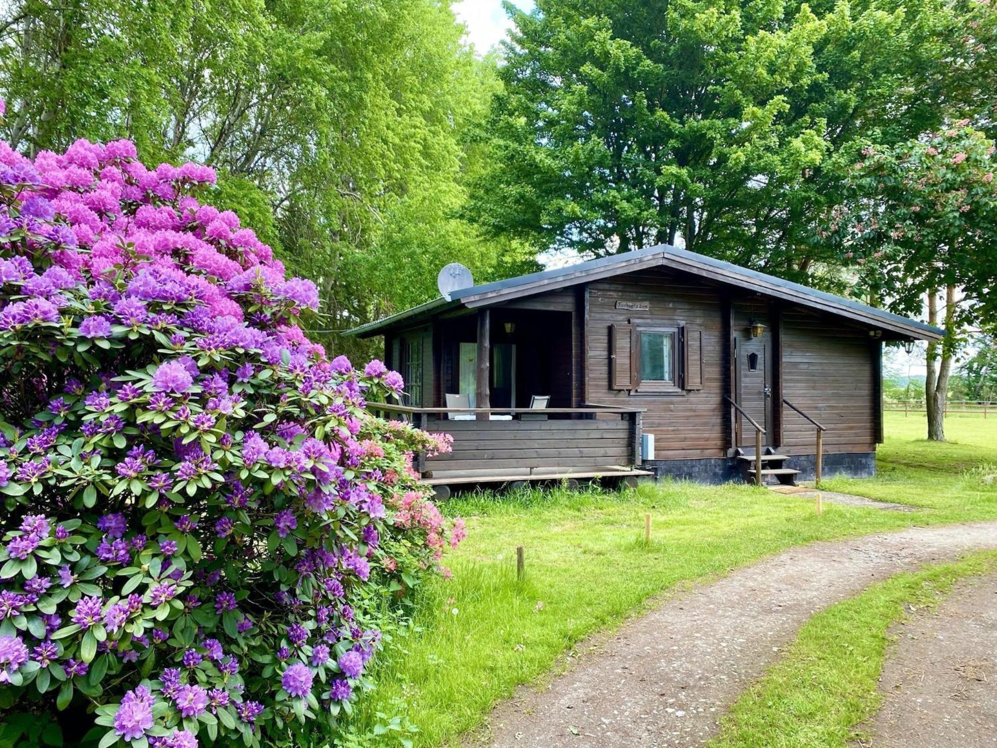 Cozy Holiday Home On A Horse Farm In The L Neburg Heath Eschede エクステリア 写真