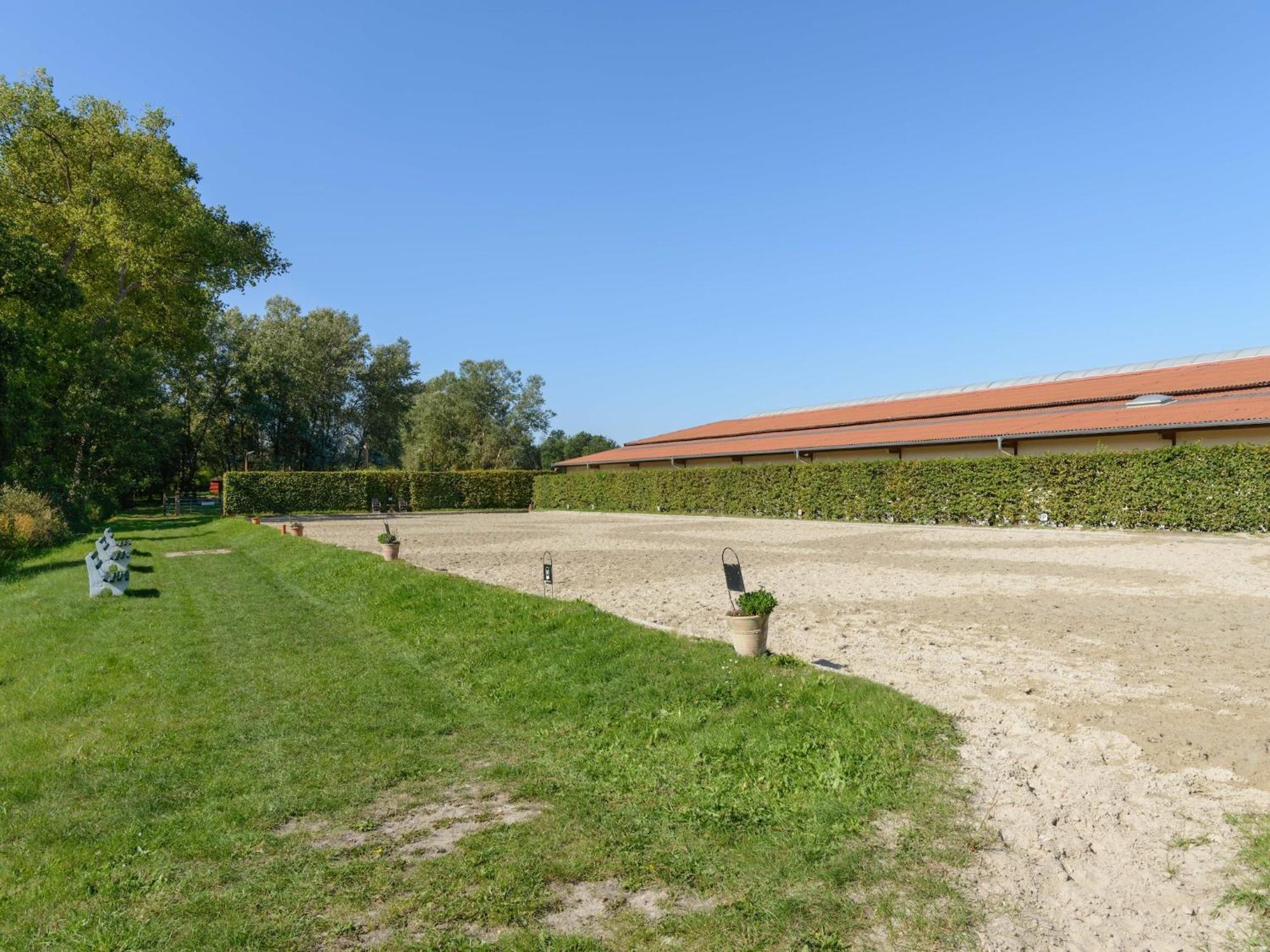 Cozy Holiday Home On A Horse Farm In The L Neburg Heath Eschede エクステリア 写真
