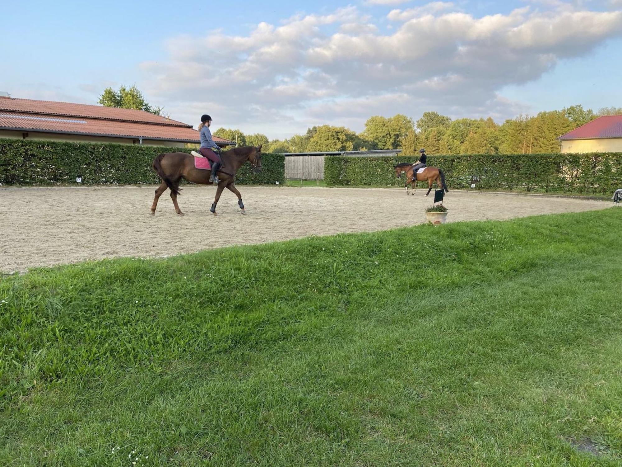 Cozy Holiday Home On A Horse Farm In The L Neburg Heath Eschede エクステリア 写真