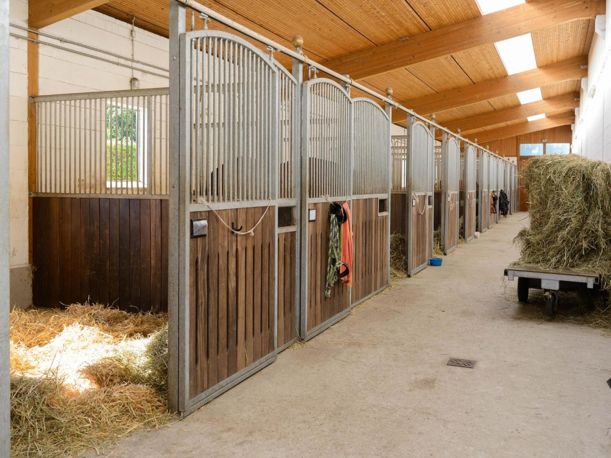 Cozy Holiday Home On A Horse Farm In The L Neburg Heath Eschede エクステリア 写真