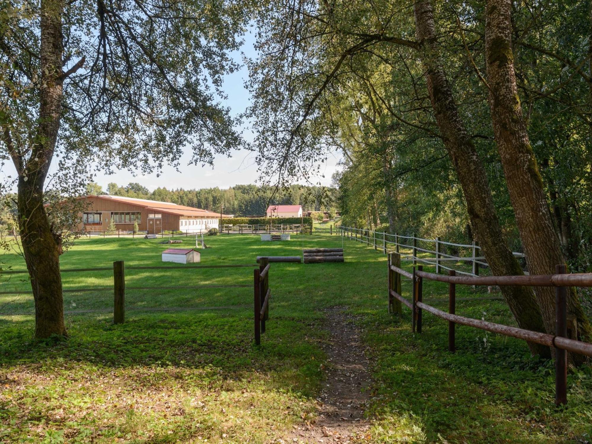 Cozy Holiday Home On A Horse Farm In The L Neburg Heath Eschede エクステリア 写真