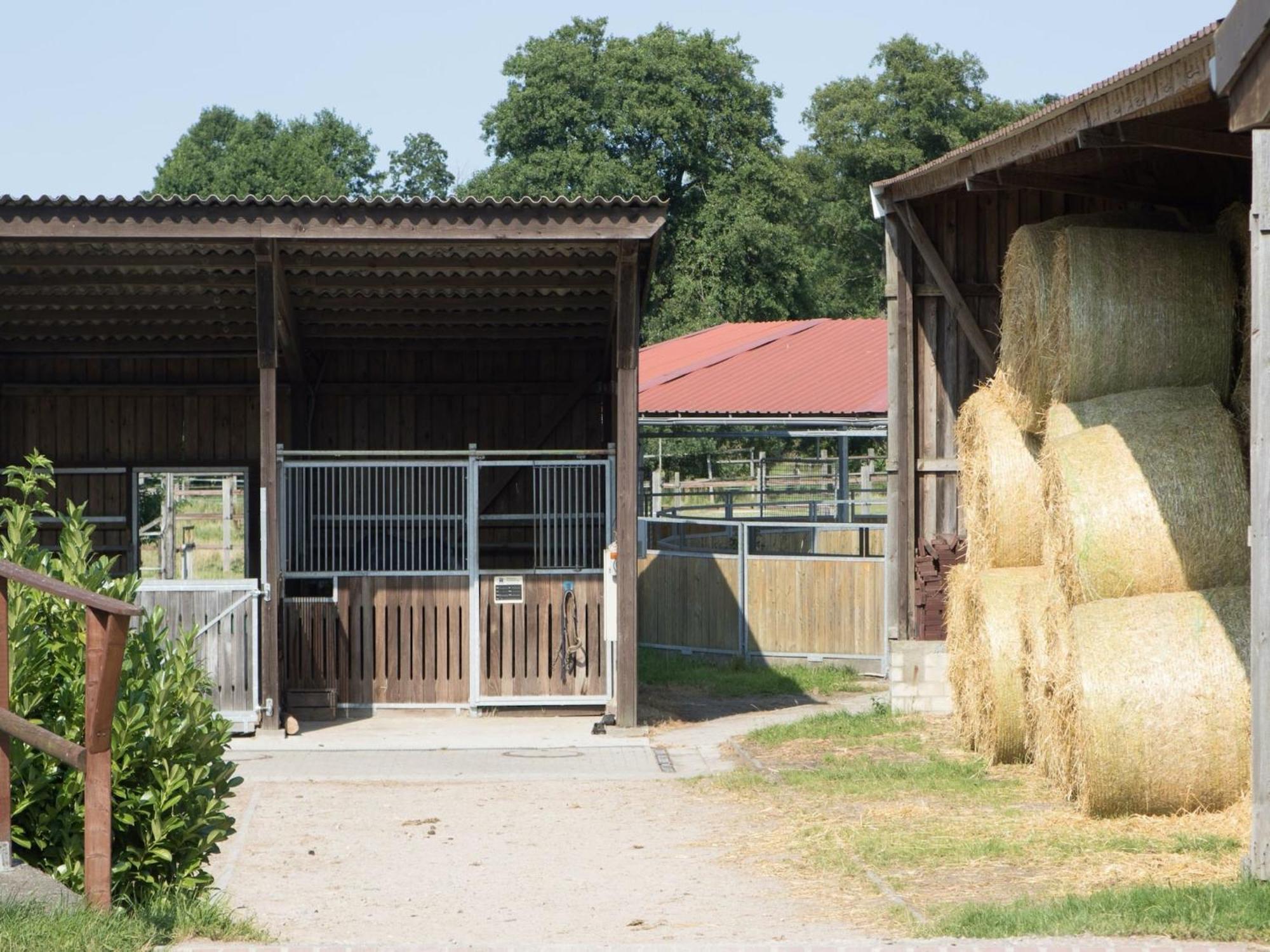 Cozy Holiday Home On A Horse Farm In The L Neburg Heath Eschede エクステリア 写真